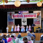 Den seniorů - Petřkovice